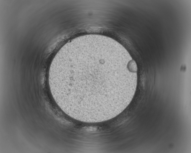 X0000115610687200912221207