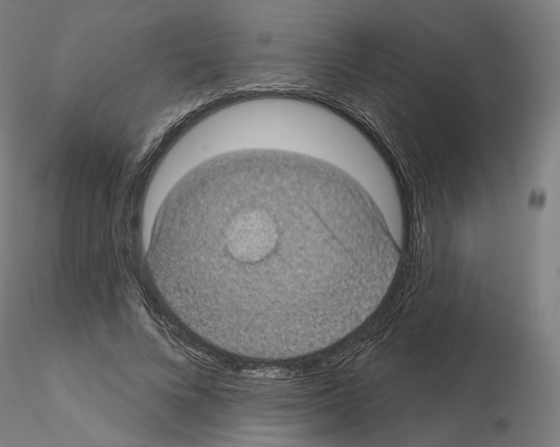 X0000115610688200912221207