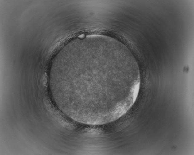 X0000115610689200912221207