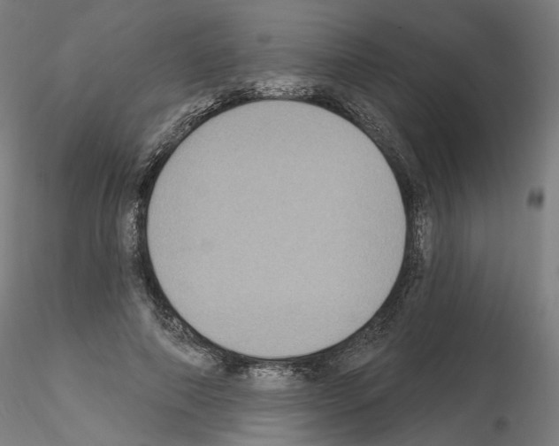 X0000115610690200912221207