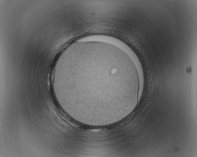 X0000115610692200912221207