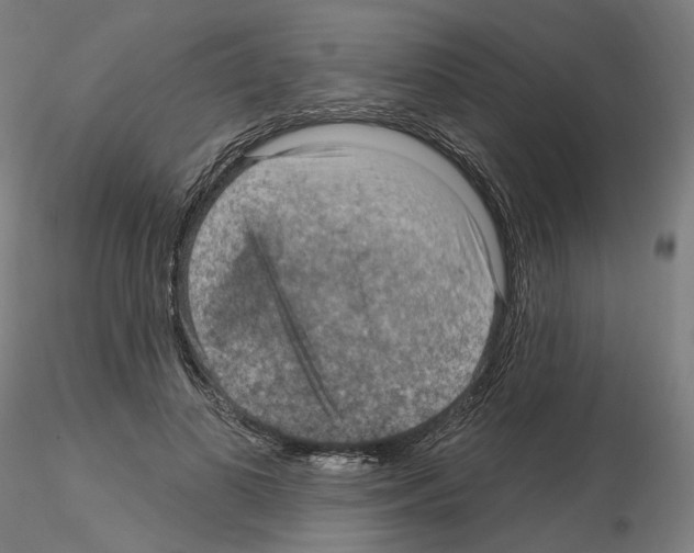 X0000115610693200912221207