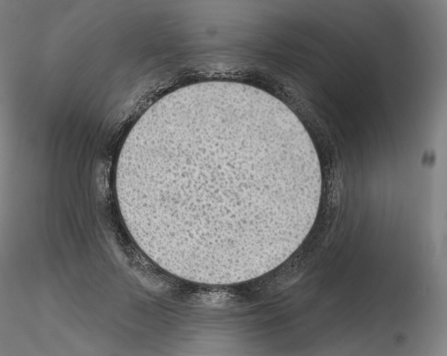 X0000115610695200912221207