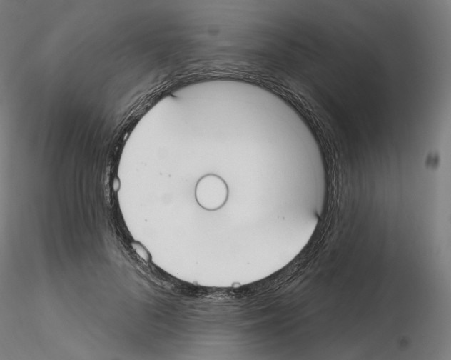 X0000115610696200912221207