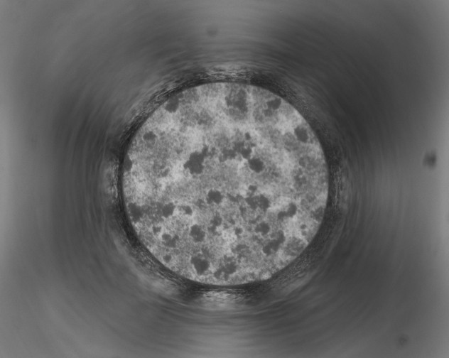 X0000115610699200912221207