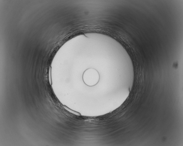 X0000115610700200912221207