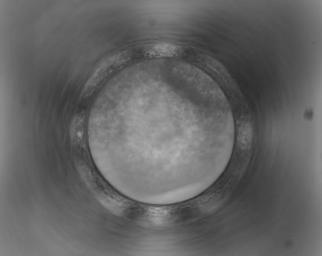 X0000115610701200912221207