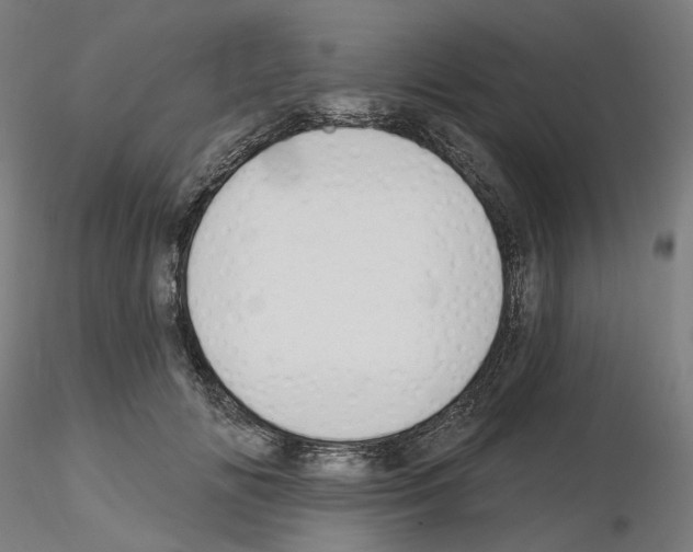X0000115610702200912221207