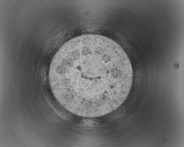 X0000115610703200912221207