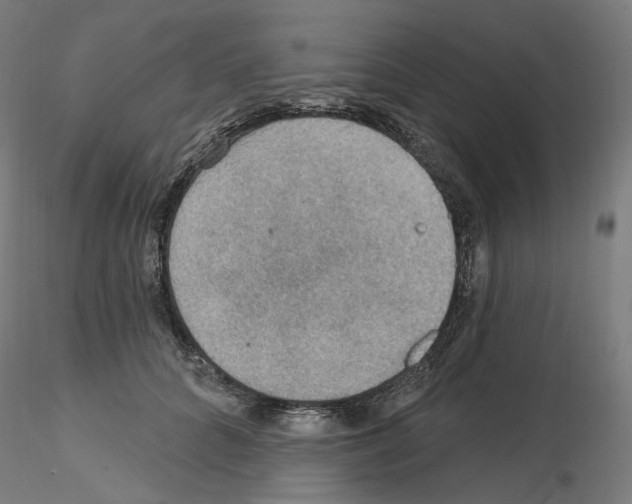 X0000115610704200912221207