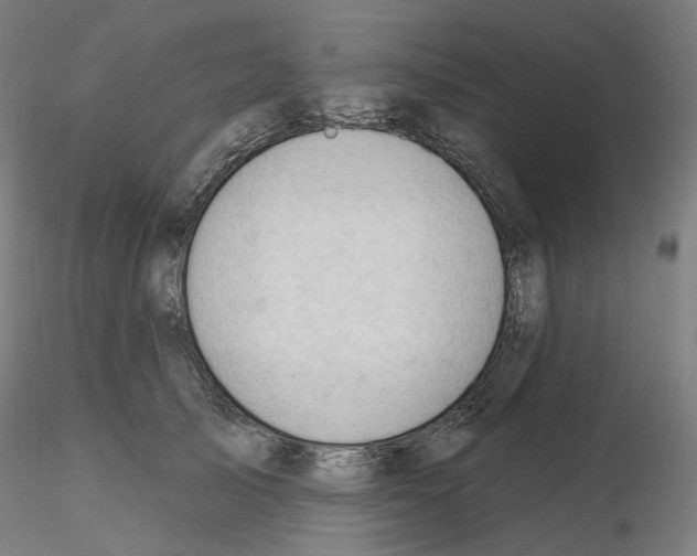 X0000115610705200912221207