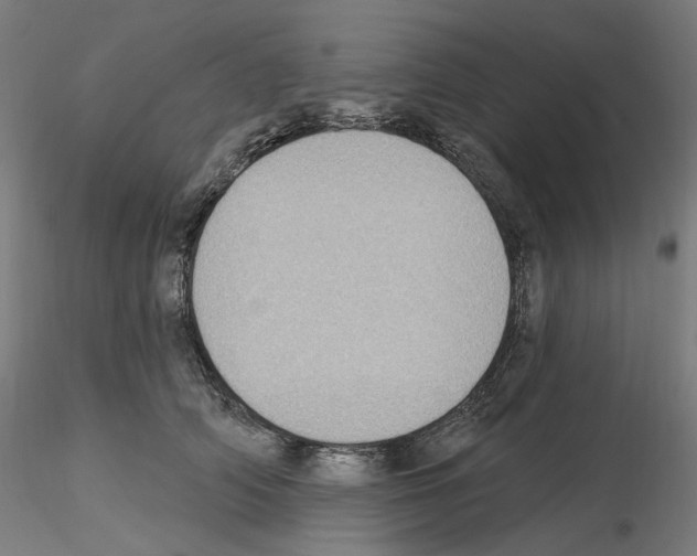 X0000115610706200912221207