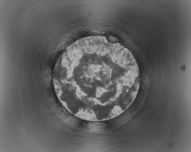 X0000115610707200912221207