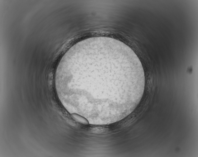 X0000115610708200912221207