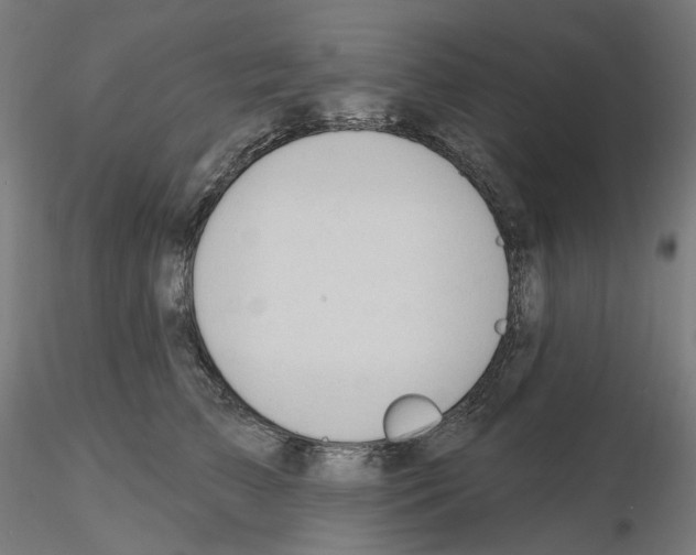 X0000115610709200912221207