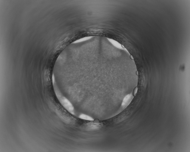 X0000115610711200912221207