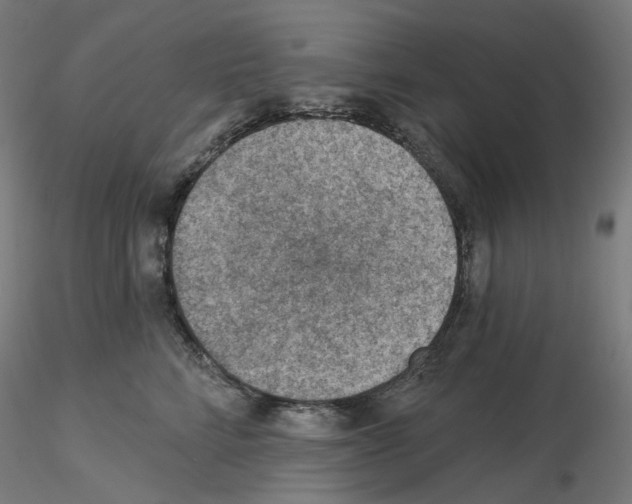 X0000115610712200912221207