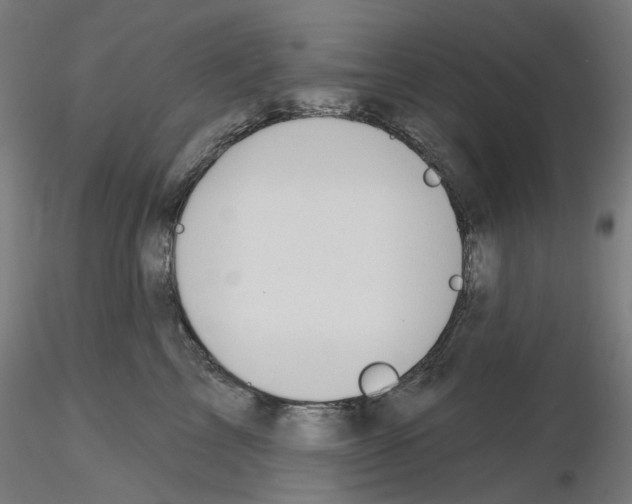X0000115610713200912221207