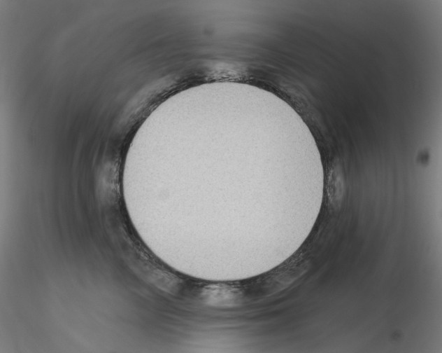 X0000115610714200912221207