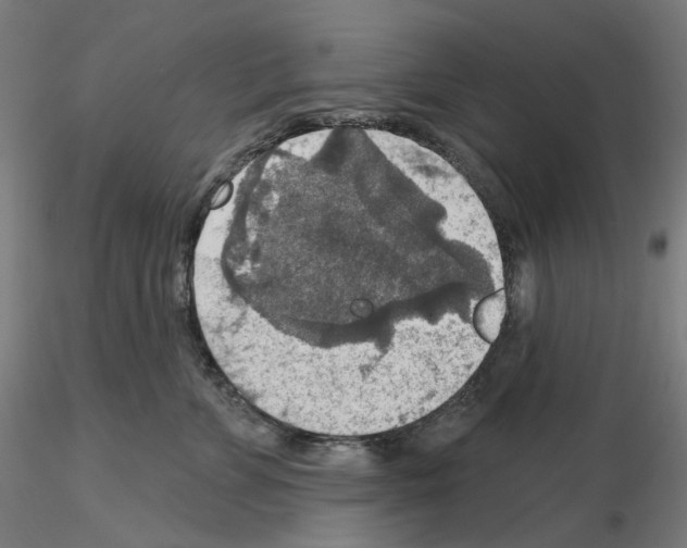 X0000115610715200912221207