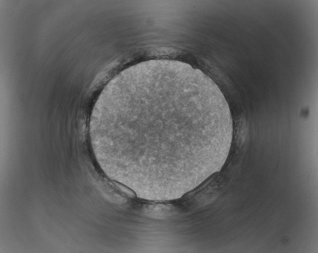 X0000115610716200912221207
