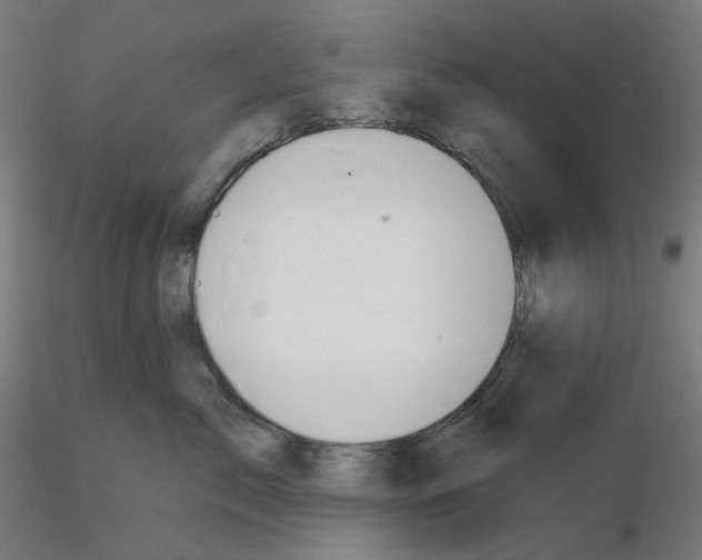 X0000115610717200912221207