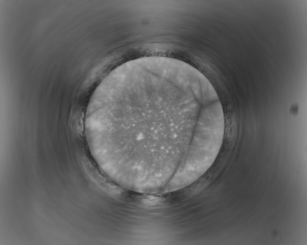 X0000115610718200912221207