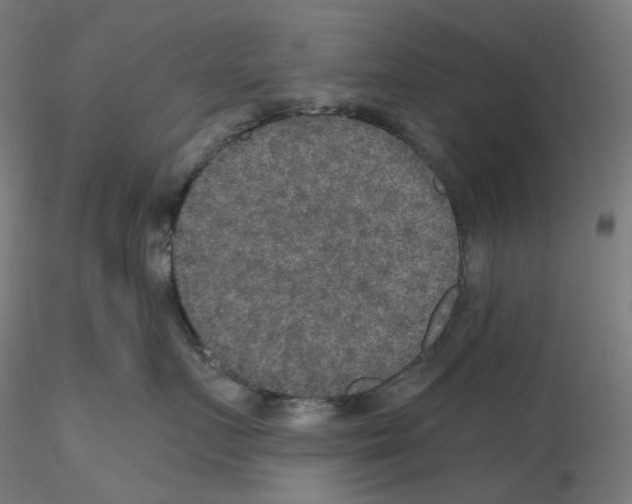 X0000115610719200912221207