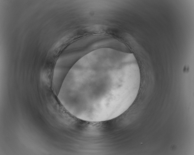X0000115610720200912221207