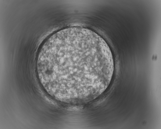 X0000115610721200912221206