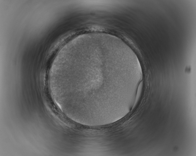 X0000115610722200912221206