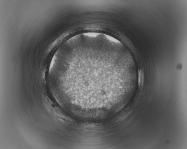 X0000115610723200912221206