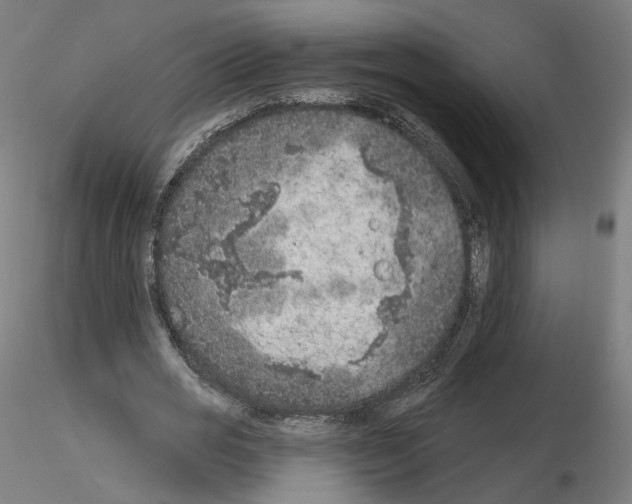X0000115610725200912221206