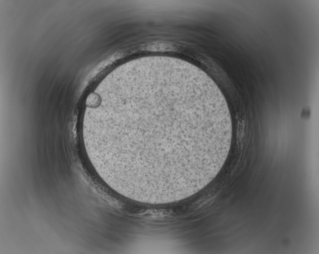 X0000115610727200912221206