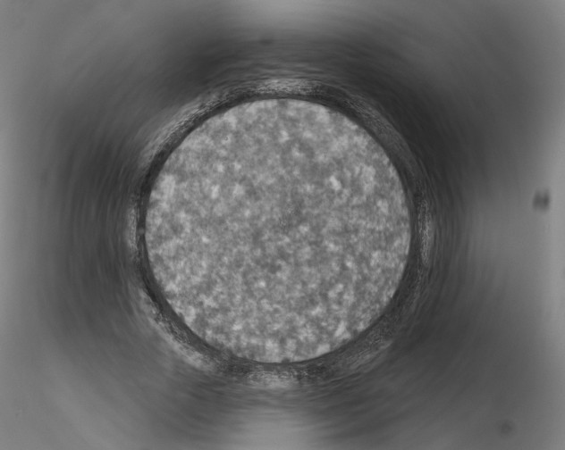 X0000115610729200912221206