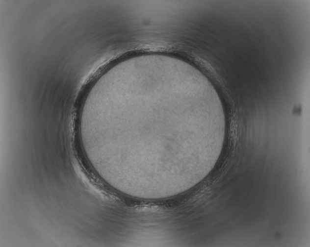 X0000115610730200912221206