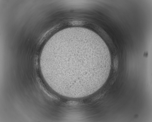 X0000115610733200912221206
