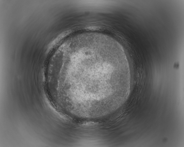 X0000115610734200912221206