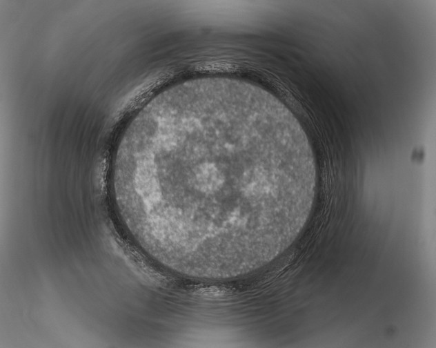 X0000115610735200912221206
