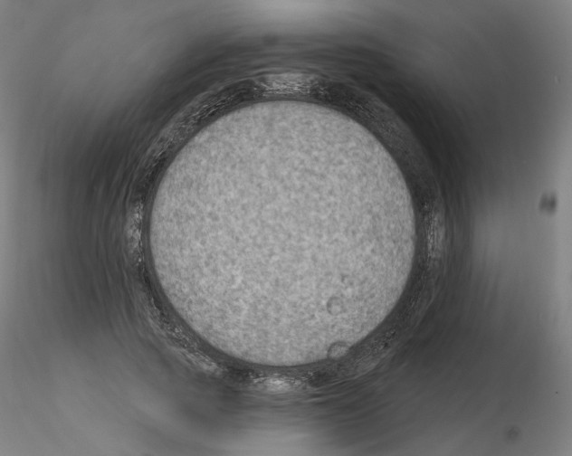 X0000115610737200912221207