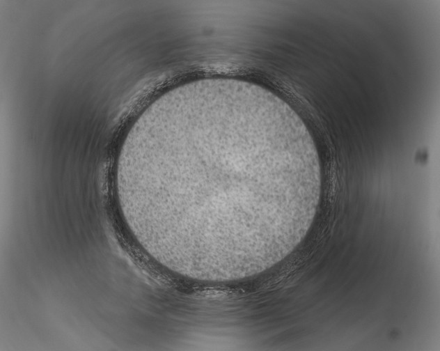 X0000115610738200912221207