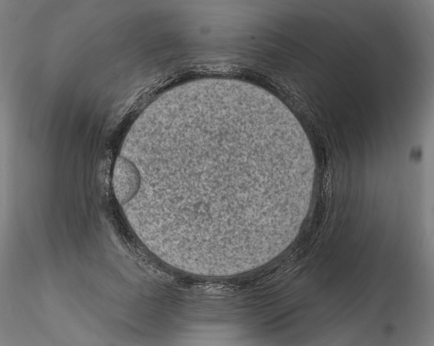 X0000115610739200912221207