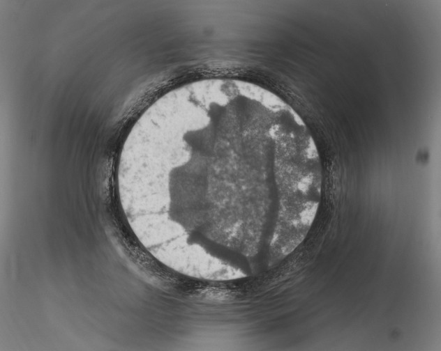 X0000115610742200912221207