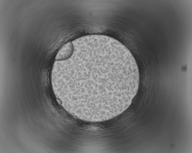 X0000115610743200912221207