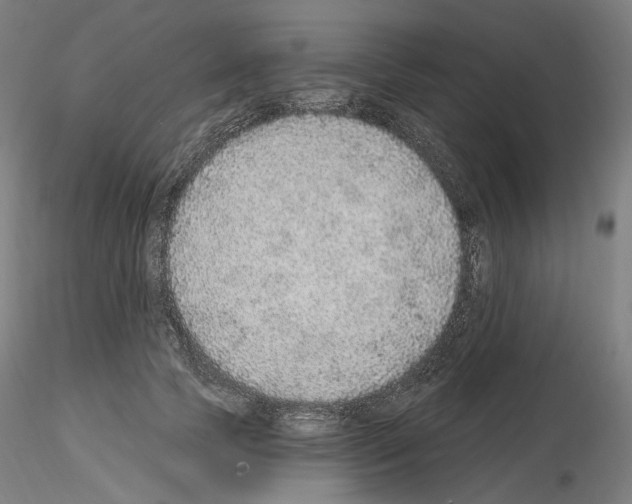 X0000115610745200912221207