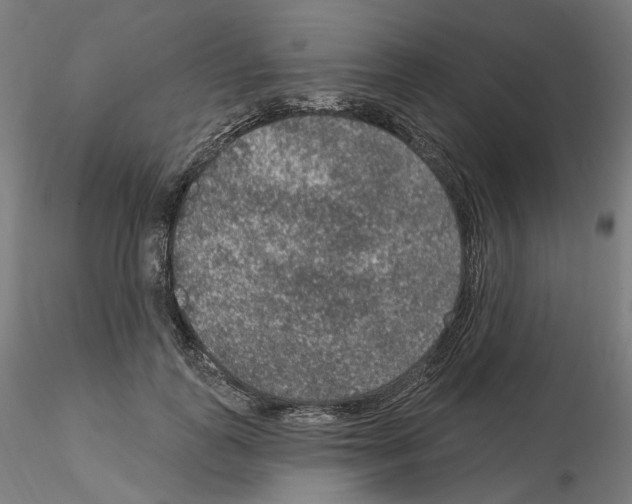 X0000115610747200912221207