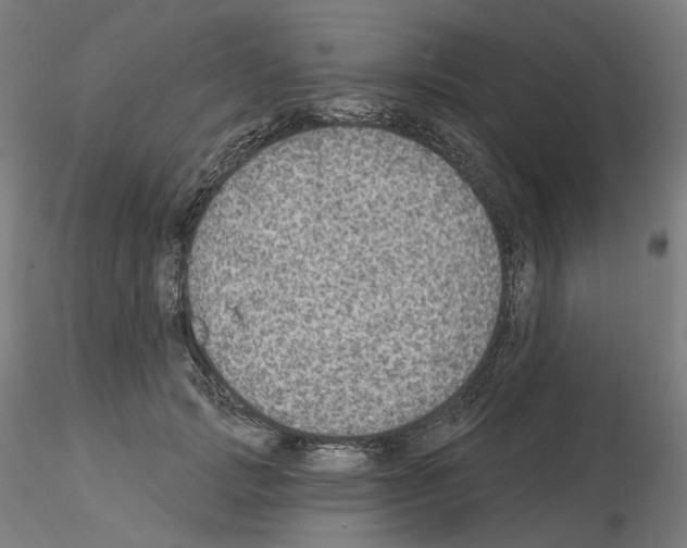 X0000115610749200912221207