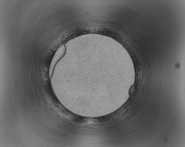 X0000115610750200912221207