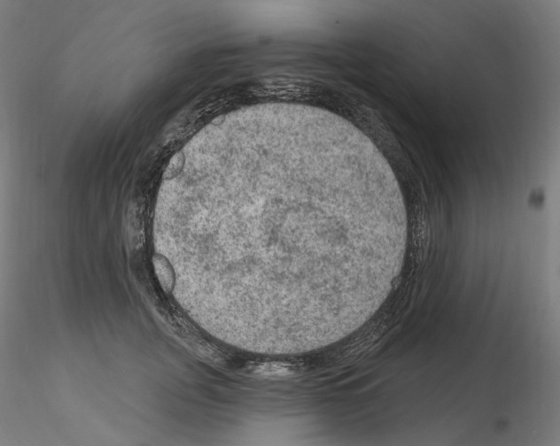 X0000115610751200912221207