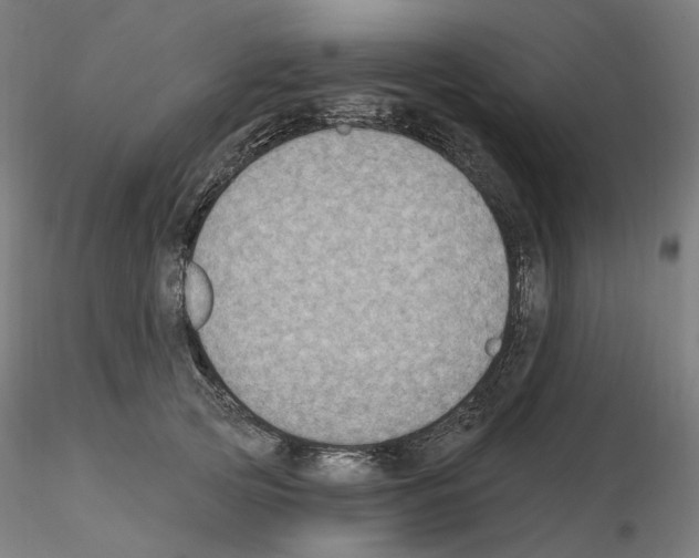 X0000115610753200912221207
